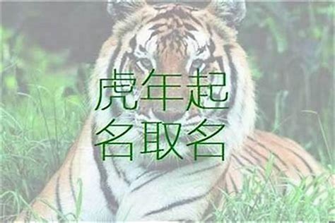 虎喜用字|生肖虎取名宜忌：打造一生旺運好名字